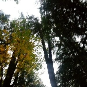 Meet your Posher, Kaylee